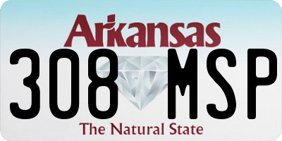 AR license plate 308MSP