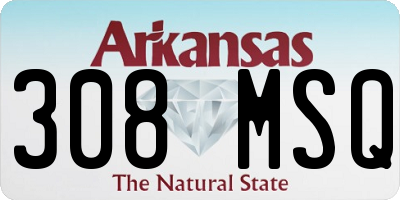 AR license plate 308MSQ
