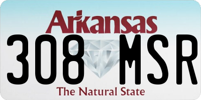AR license plate 308MSR
