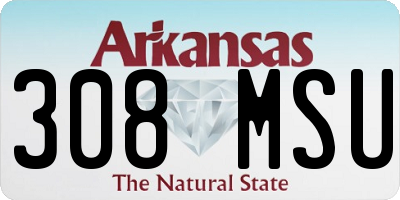 AR license plate 308MSU