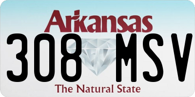 AR license plate 308MSV