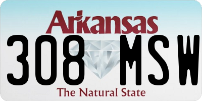 AR license plate 308MSW