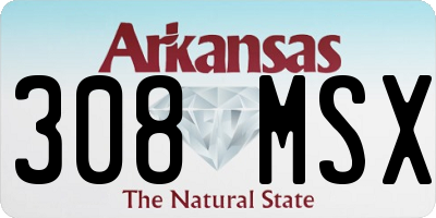 AR license plate 308MSX