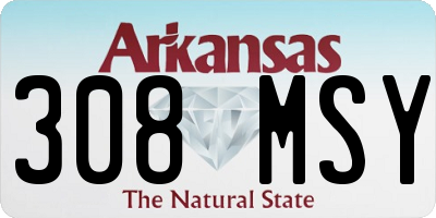 AR license plate 308MSY