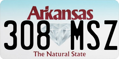 AR license plate 308MSZ