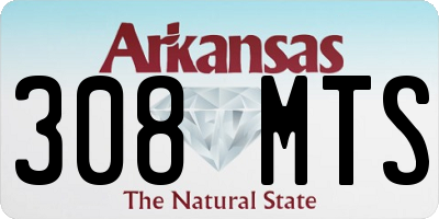 AR license plate 308MTS