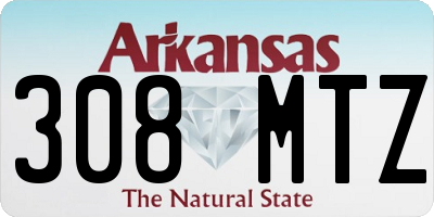 AR license plate 308MTZ