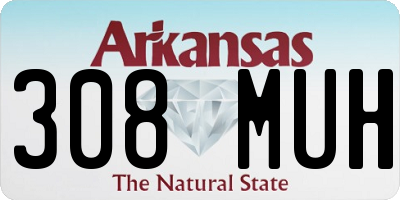 AR license plate 308MUH