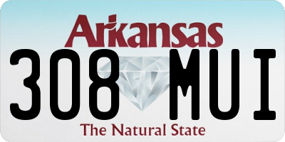 AR license plate 308MUI