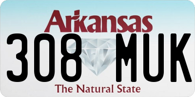 AR license plate 308MUK