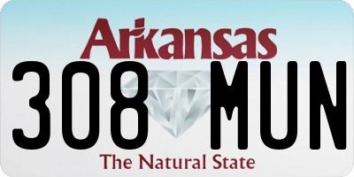 AR license plate 308MUN