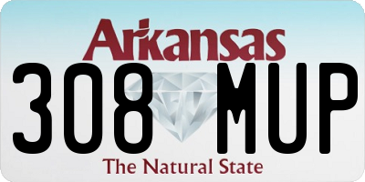 AR license plate 308MUP