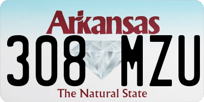 AR license plate 308MZU