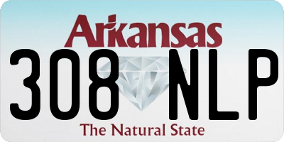 AR license plate 308NLP