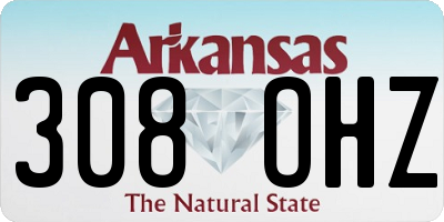AR license plate 308OHZ