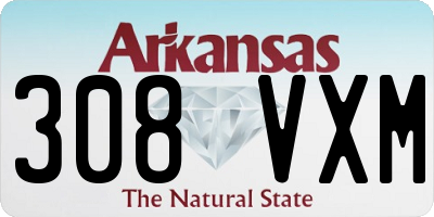 AR license plate 308VXM