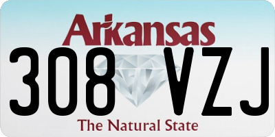 AR license plate 308VZJ