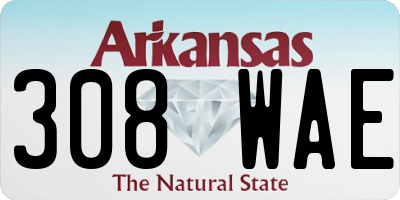AR license plate 308WAE