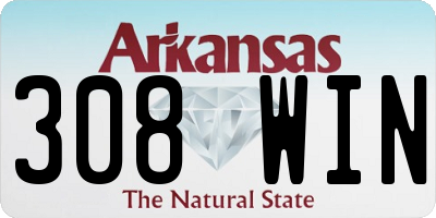 AR license plate 308WIN