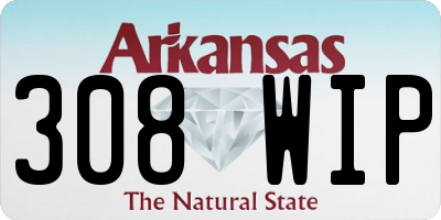 AR license plate 308WIP
