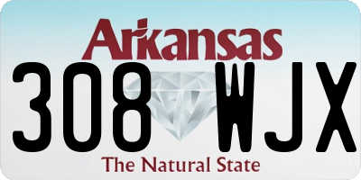 AR license plate 308WJX