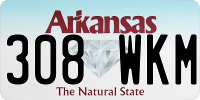 AR license plate 308WKM