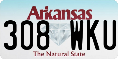 AR license plate 308WKU