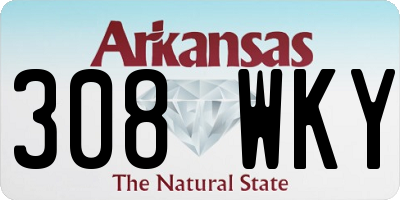 AR license plate 308WKY