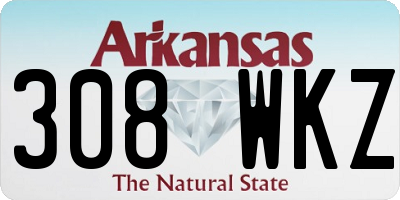 AR license plate 308WKZ