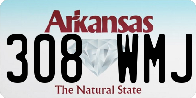 AR license plate 308WMJ