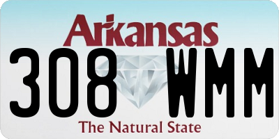 AR license plate 308WMM
