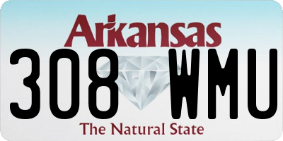 AR license plate 308WMU