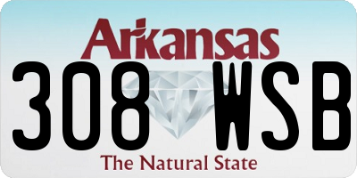AR license plate 308WSB