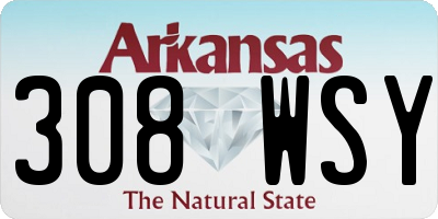 AR license plate 308WSY