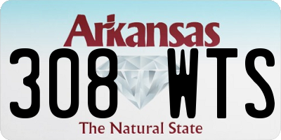 AR license plate 308WTS