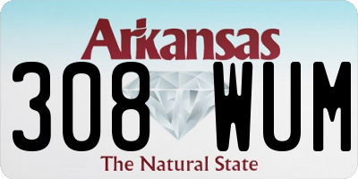 AR license plate 308WUM