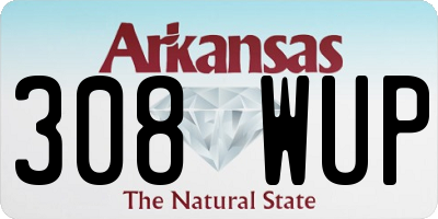 AR license plate 308WUP