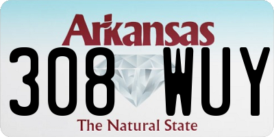AR license plate 308WUY