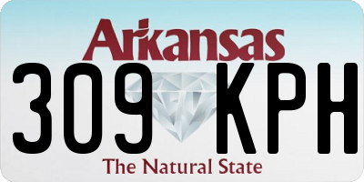 AR license plate 309KPH