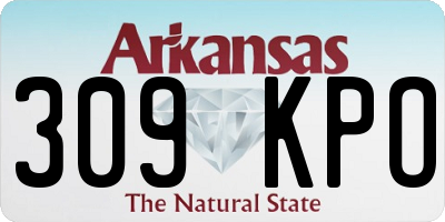 AR license plate 309KPO