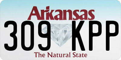 AR license plate 309KPP