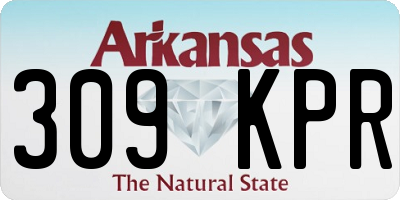 AR license plate 309KPR