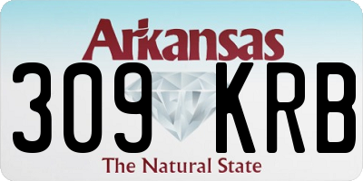 AR license plate 309KRB