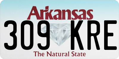AR license plate 309KRE