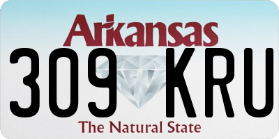 AR license plate 309KRU