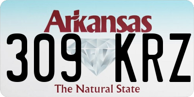 AR license plate 309KRZ