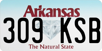 AR license plate 309KSB