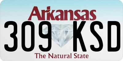 AR license plate 309KSD