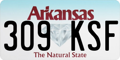 AR license plate 309KSF