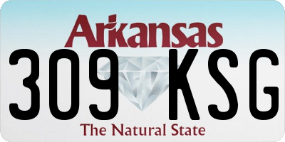 AR license plate 309KSG